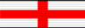 Star Fleet Cross of Gallantry