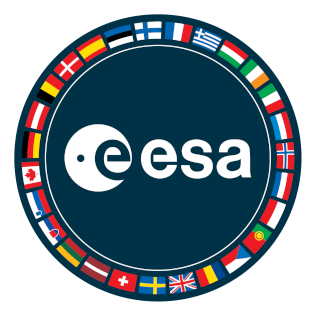File:ESA Patch 2022.png