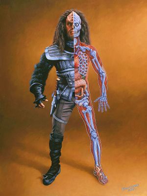 Klingon anatomy.jpg