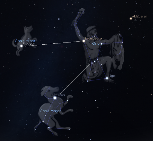 Orion-and-dogs.png
