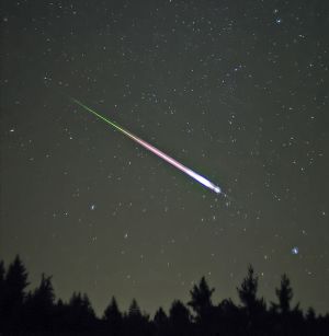 Leonid Meteor.jpg